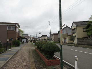 Vw̉wO