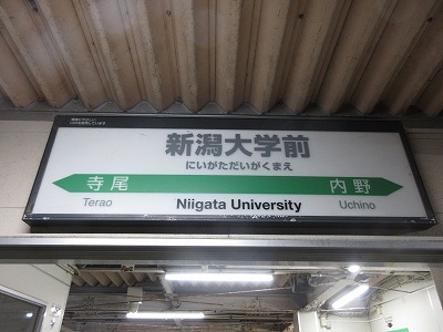 �V����w�O�w�w���W