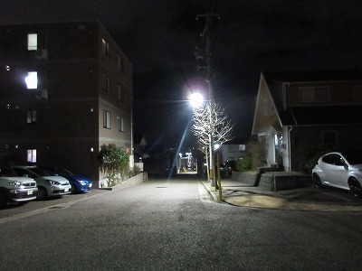 �V����w�O�w�̉w�O