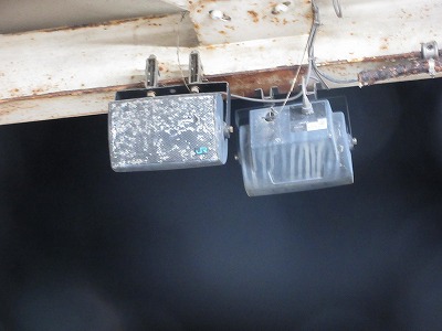 �V����w�O�w�X�s�[�J�[