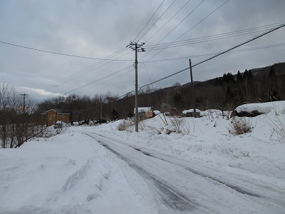 �m�R�w�̉w�O