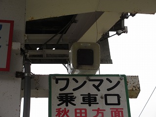 wXs[J[