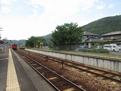 �ʔ��w�\��