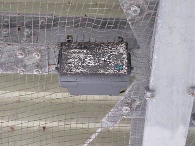 ��g�c�w�X�s�[�J�[